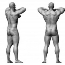 14_kettle-bell-stage-3_grey-1024x233-anatomy360-modele-homme
