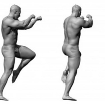 16_kick-boxer_grey-1024x233-anatomy360-modele-homme