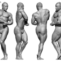 4-anatomy360-modele-homme