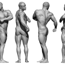 6-anatomy360-modele-homme