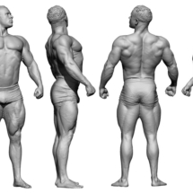 8-anatomy360-modele-homme