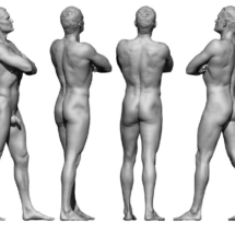 anatomyreference_01-anatomy360-modele-homme