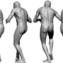 anatomyreference_03-anatomy360-modele-homme