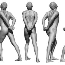 anatomyreference_04-1-anatomy360-modele-homme