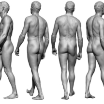 anatomyreference_05-1-anatomy360-modele-homme