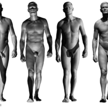 anatomyreference_06-anatomy360-modele-homme