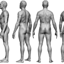 anatomyreference_07-anatomy360-modele-homme
