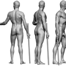 anatomyreference_08-anatomy360-modele-homme