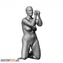 image-003-300x300-anatomy360