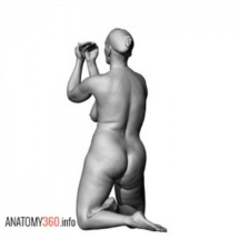 image-004-300x300-anatomy360